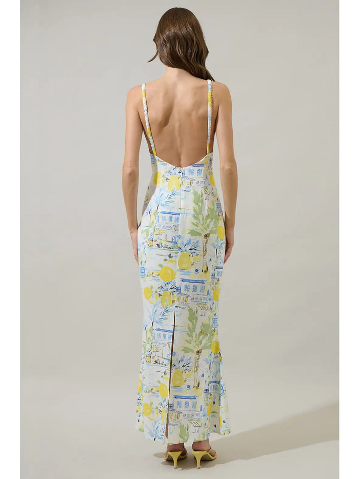 C Collection The Elizabeth Dress