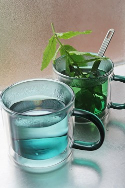 Cabanaz Double Wall Glass Set2