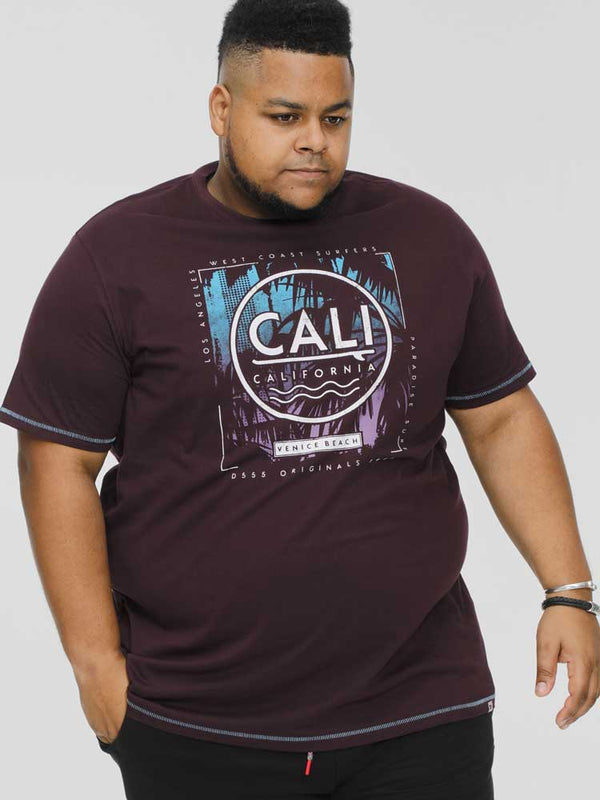 cabano D555 T-Shirt Nova K Purple