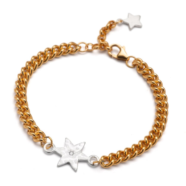 cacatoès Chambers & Beau Celeste Diamond Bracelet