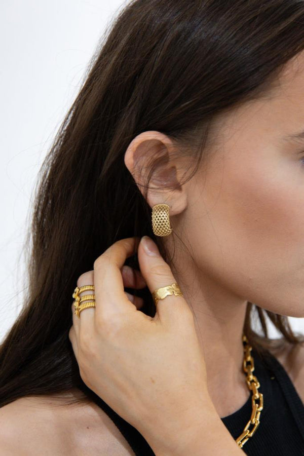 Cacatoès Leo Textured Gold Curve Earrings