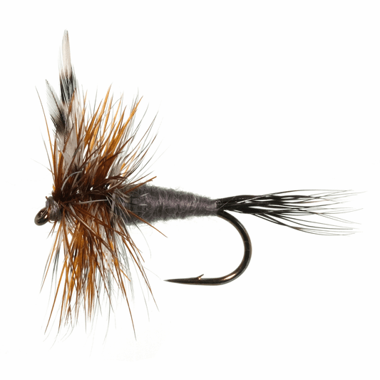 caddis fly Adams Moosetail