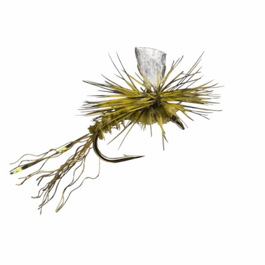 caddis fly Almost Dun Mayfly