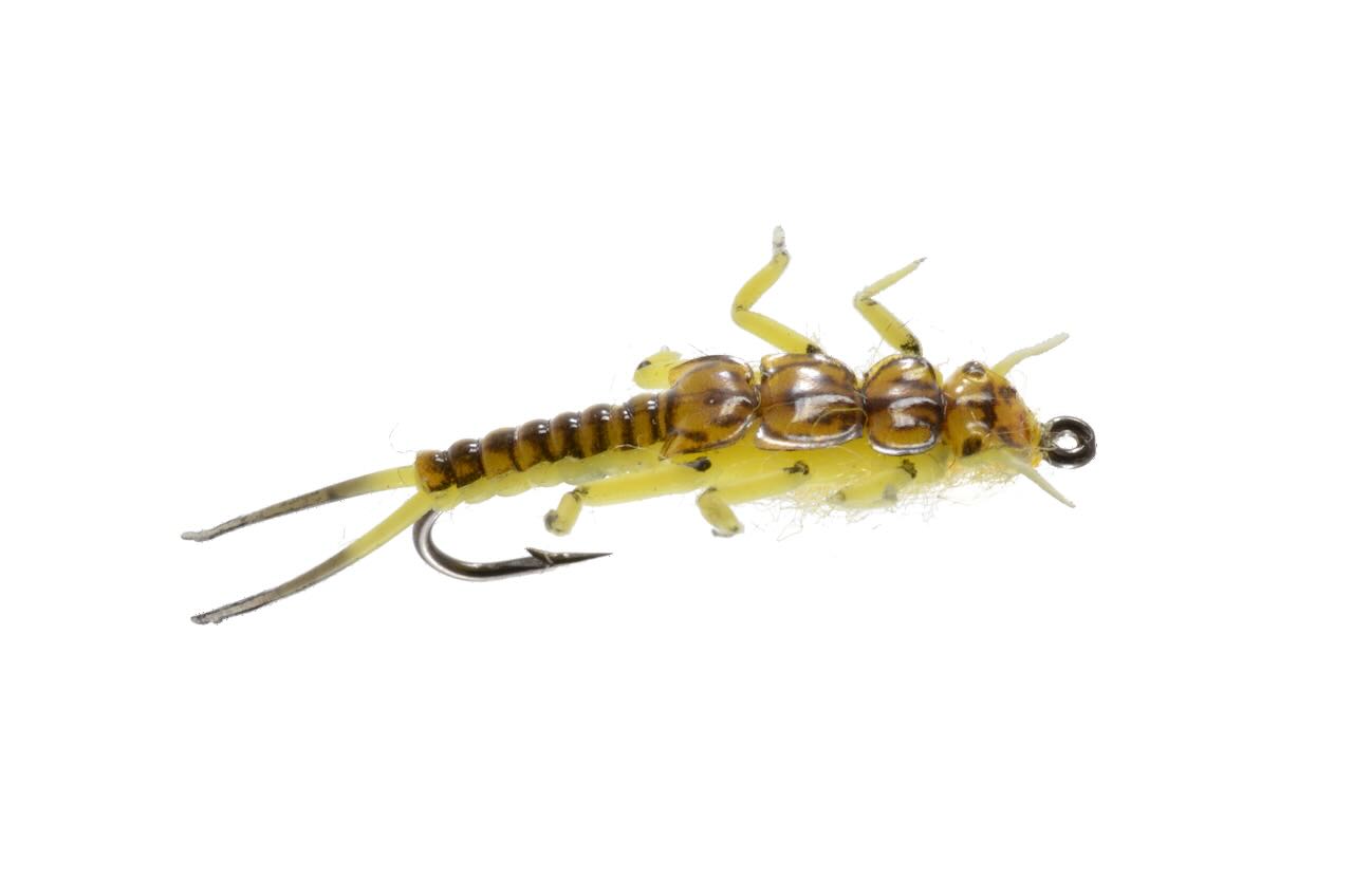 caddis fly Annihilator Stone