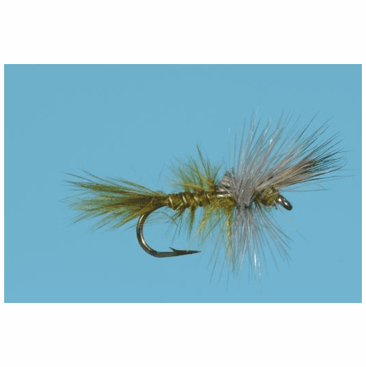 caddis fly Baetis Cripple # 18