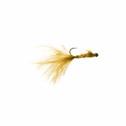 caddis fly Balanced Zach Attack Damsel