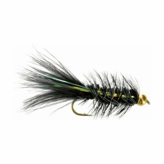 Caddis Fly Bead Flashbou Bugger