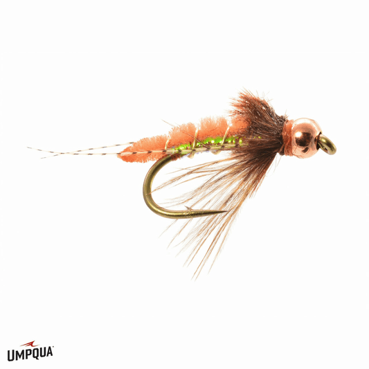 caddis fly Bead Head Caddis Poopah