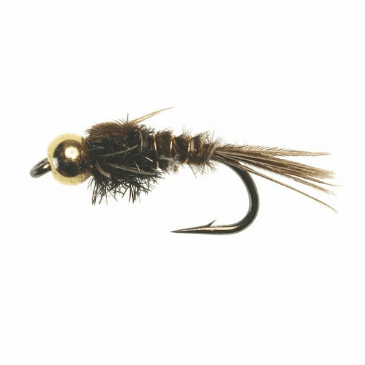 caddis fly Bead Head Pheasant Tail Nymph