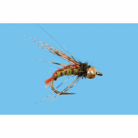 caddis fly BeadHead Ascending Caddis