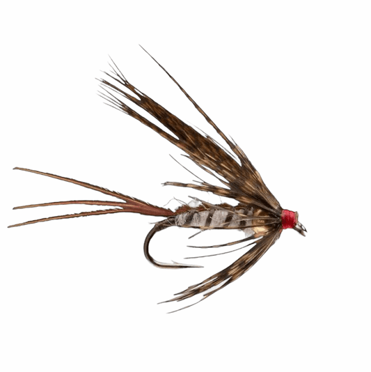 caddis fly Beadhead March Brown Emerger