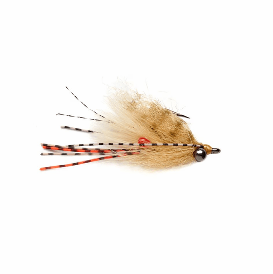 caddis fly Beech's Itchy Trigger