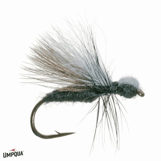 caddis fly Black CDC Ant