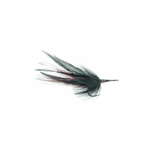 caddis fly Black Death Tarpon Fly