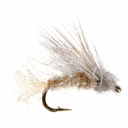 caddis fly Blue Ribbon X2 Caddis