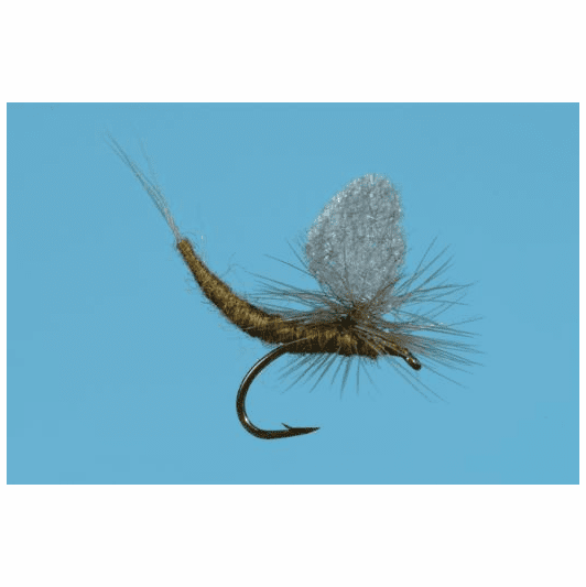 caddis fly Blue Winged Olive Ext. Body
