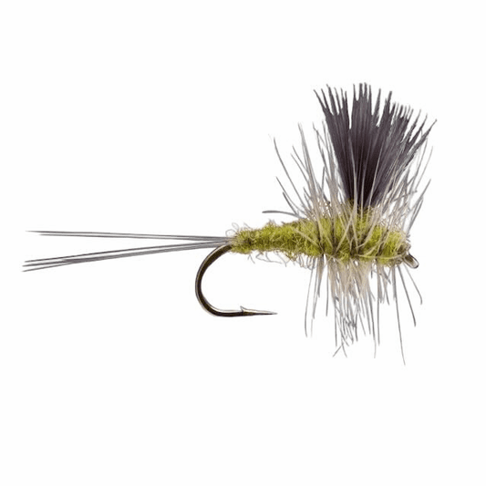 caddis fly Blue Winged Olive Thorax