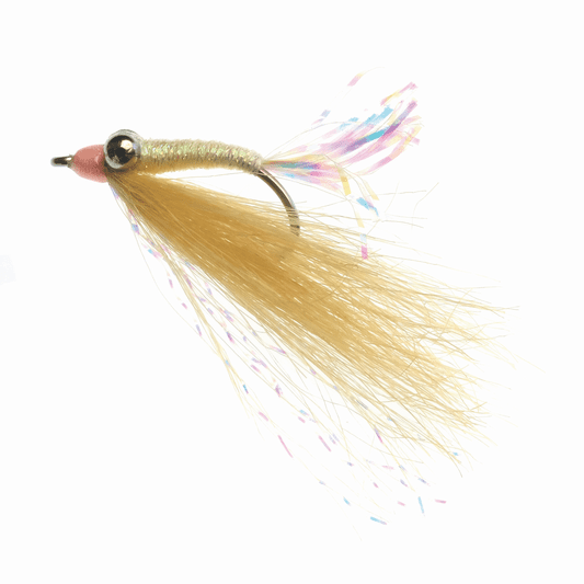 caddis fly Bonefish Gotcha