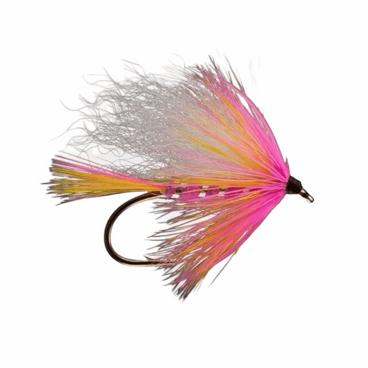 caddis fly Borden Special Sea Run Cutthroat Fly