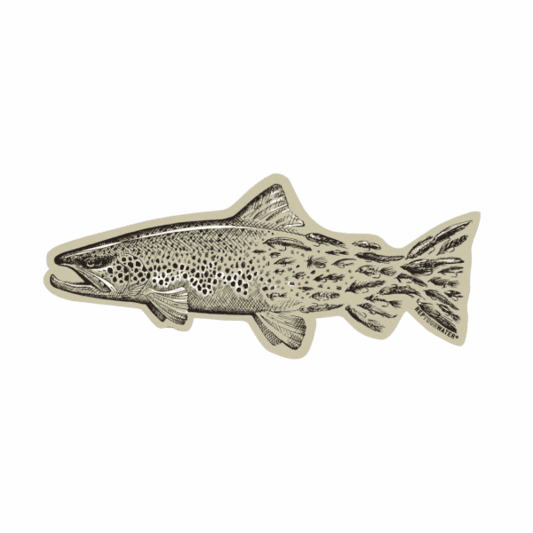 caddis fly Brown Trout Sticker
