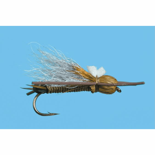 caddis fly Bullet Head Skwalla
