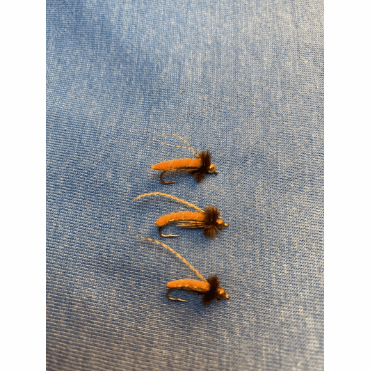 caddis fly Caddis Poopah