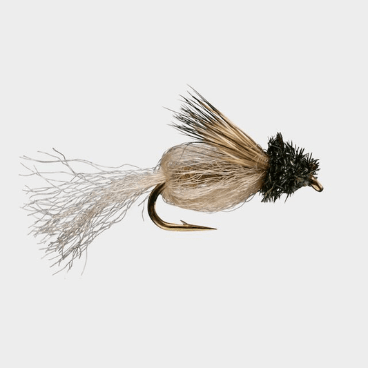 Caddis Fly Caddis Sparkle Pupa