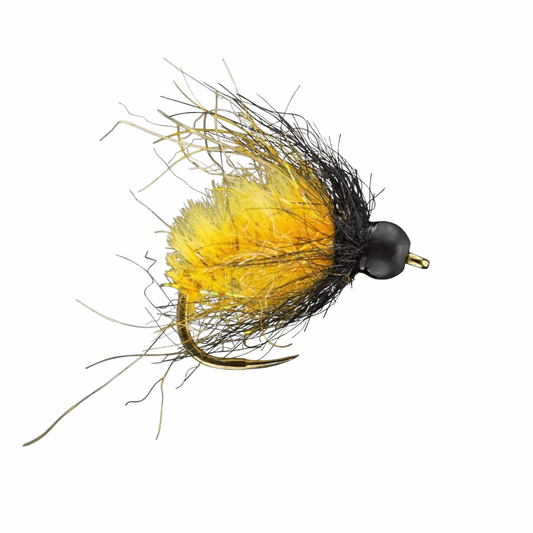 caddis fly Caddy Shack October Caddis