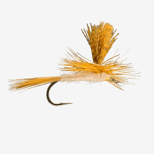 caddis fly Cahill Parachute