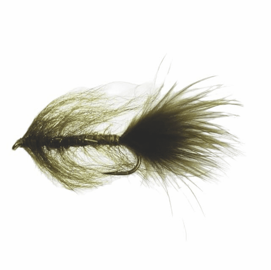 caddis fly Canadian Goat Leech