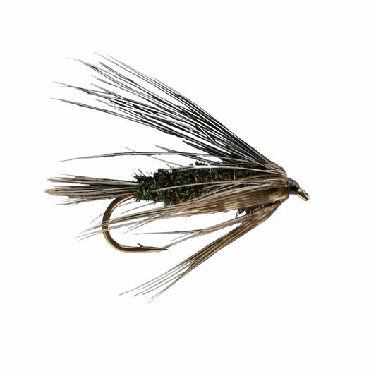 caddis fly Carey Special Lake Fly