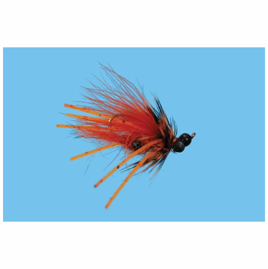 Caddis Fly Carp Craw Fly
