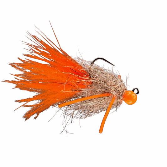 caddis fly Carp'n Crunch