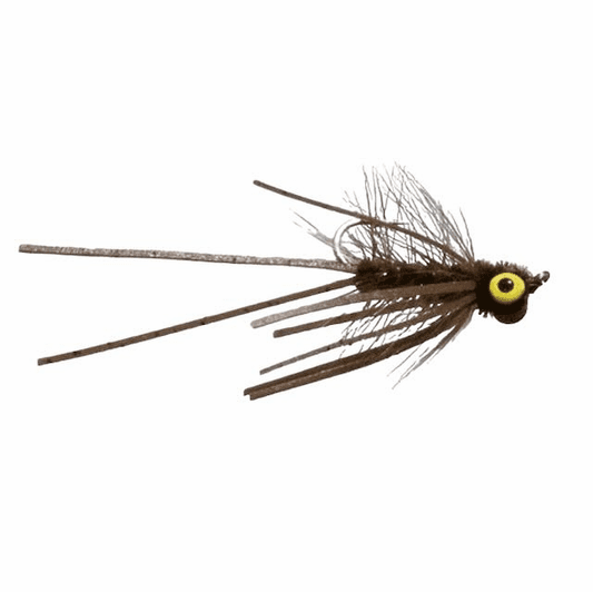 Caddis Fly Carp Tease
