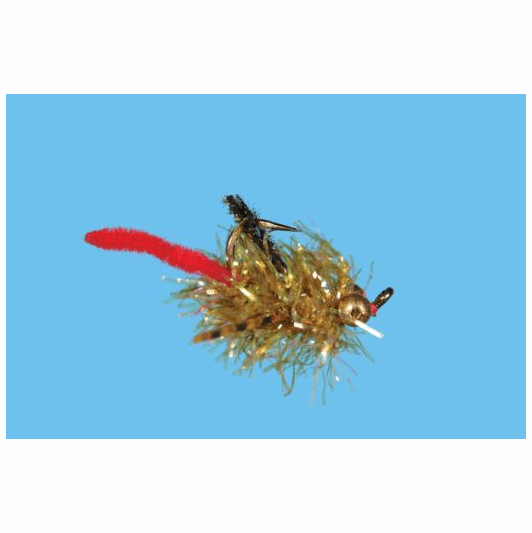 caddis fly Carpilicious Fly