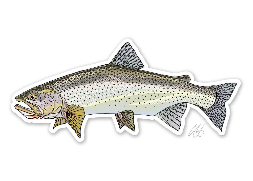 Caddis Fly Casey Underwood Fish Species Decals