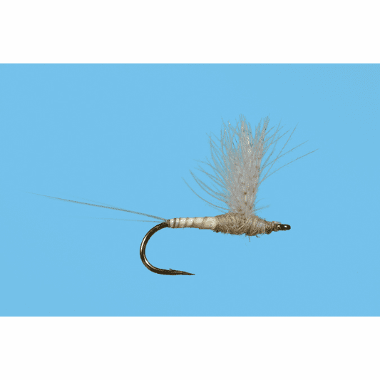 caddis fly CDC Biot Comparadun Callibaetis