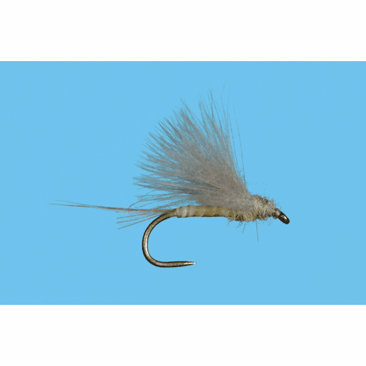 Caddis Fly CDC Biot Dun