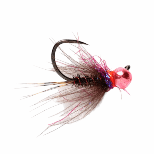 Caddis Fly CDC Hot Spot Pheasant Tail