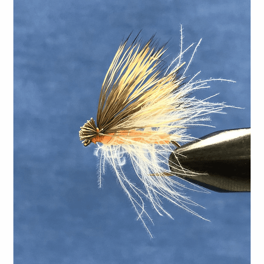 caddis fly CDC Orange McKenzie Caddis
