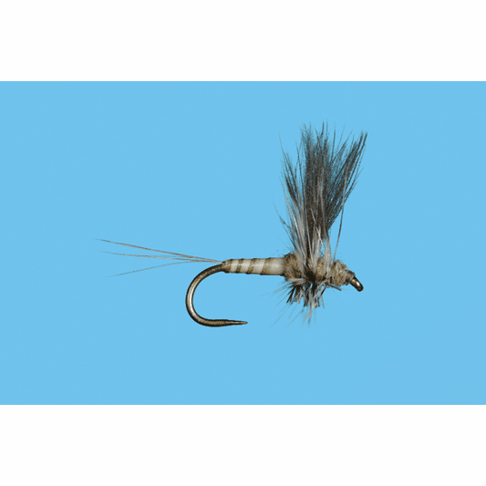 caddis fly CDC Thorax Callibaetis