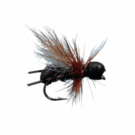 Caddis Fly CFO Ant
