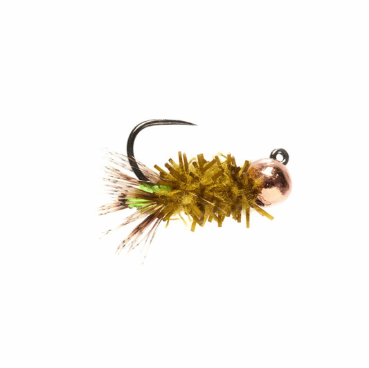 caddis fly Chewing Gum Cased Caddis