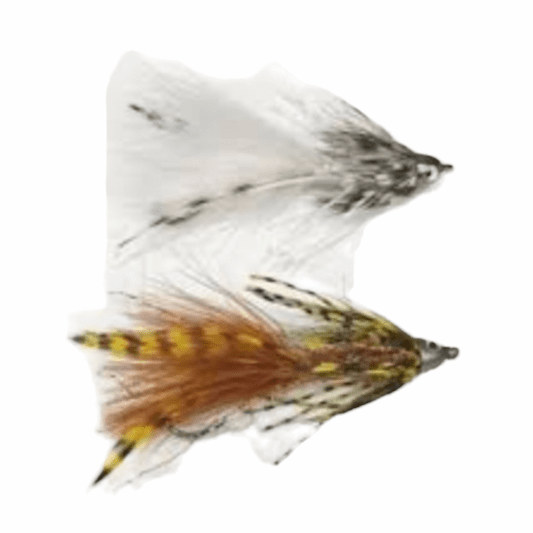 caddis fly Chou's Fortune Cookie