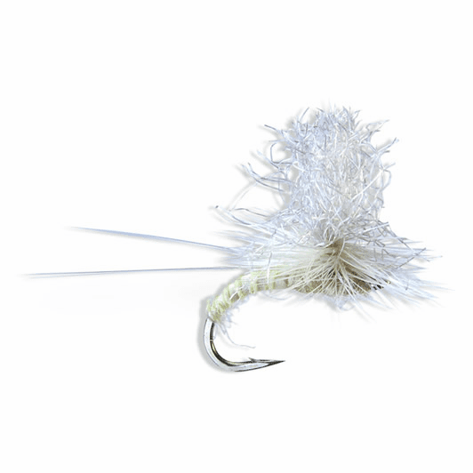 caddis fly Christiaen's GT PMD Adult fly