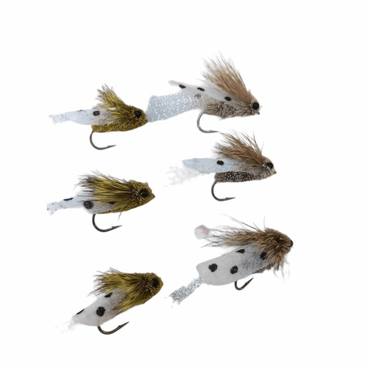 caddis fly Clark's Cicada