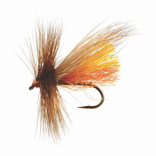 Caddis Fly Clarks Stone