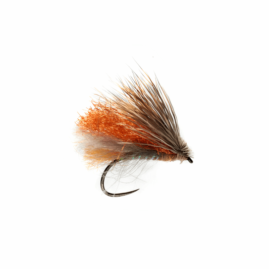 caddis fly Clueless Caddis