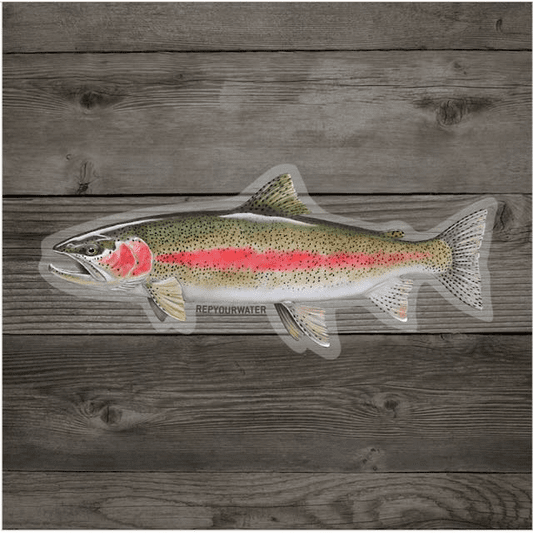 caddis fly Cold Water Rainbow Sticker