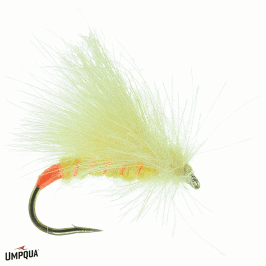 Caddis Fly Corn Fed Sally